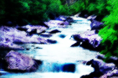 Rocks in a River, These Hands Held Out to Each Other: The Creative Writing Community